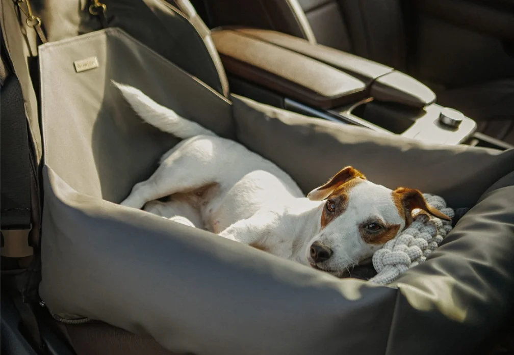 English Cocker Spaniels Dog Car Seat for Ford Edge