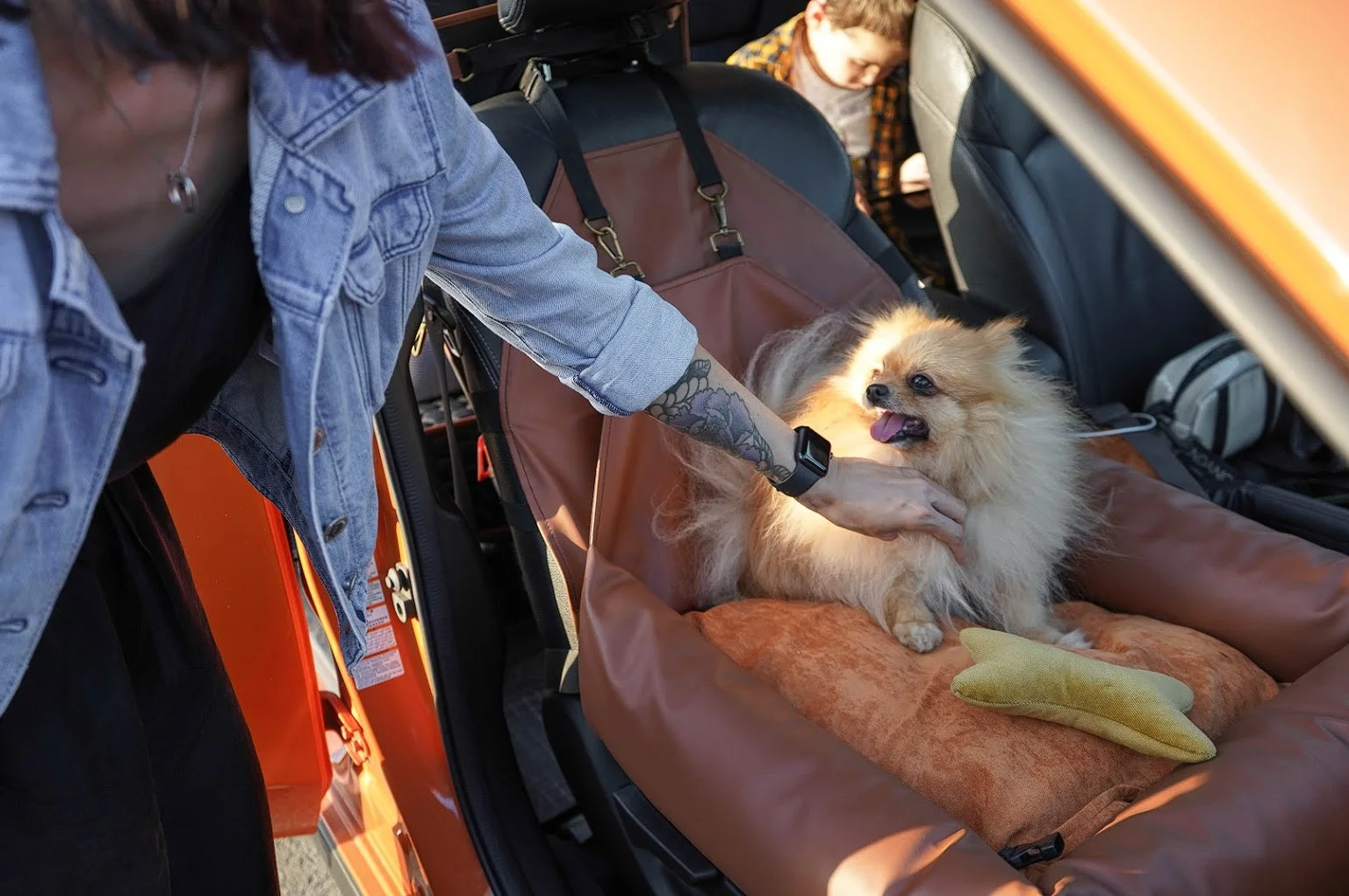 English Cocker Spaniels Dog Car Seat for Ford Edge